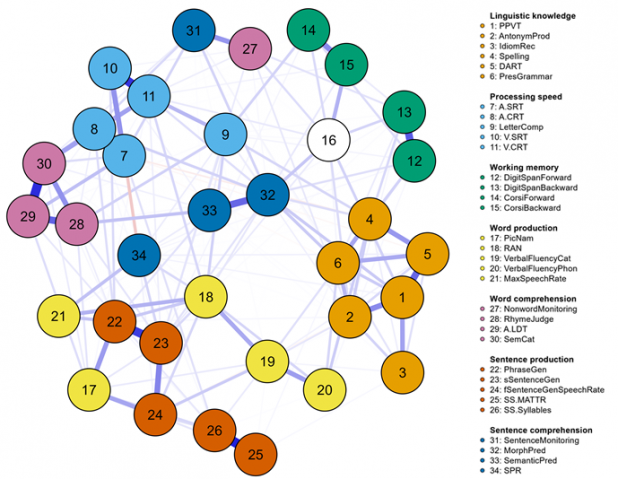 IDLaS-NL Network analysis